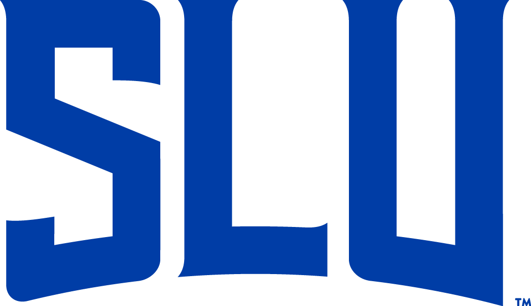 Saint Louis Billikens 2015-Pres Wordmark Logo v5 diy DTF decal sticker